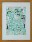 Foliage Fragments