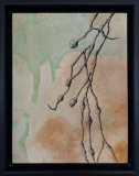 Seaweed Study
