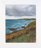 Muchalls View